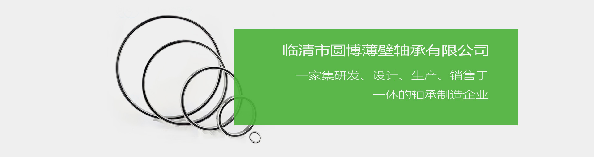 大連諾揚(yáng)軸承制造有限公司